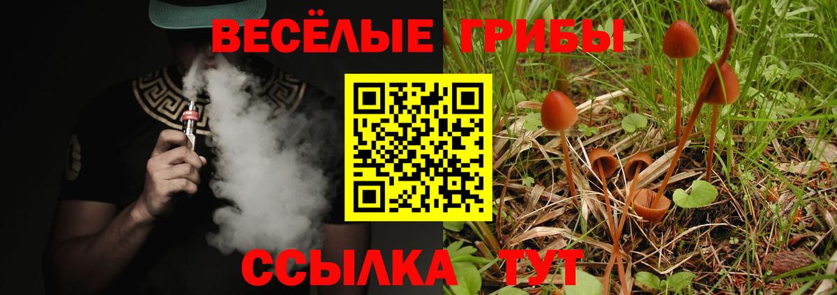 Галлюциногенные грибы Magic Shrooms  Вход с VPN  Балабаново 